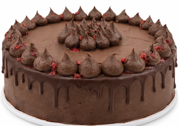 Gluten Free Chocolate Raspberry Cake